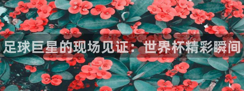 看世界杯:足球巨星的现场见证:世界杯精彩瞬间