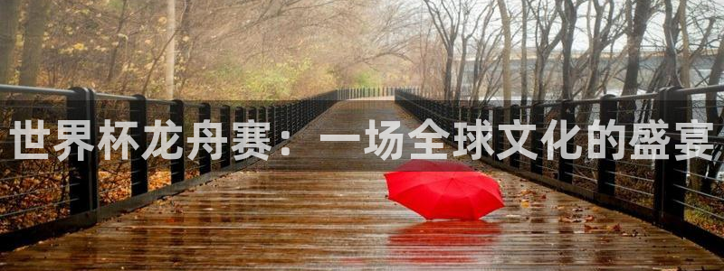 2006年世界杯冠军：世界杯龙舟赛：一场全球文化的盛宴