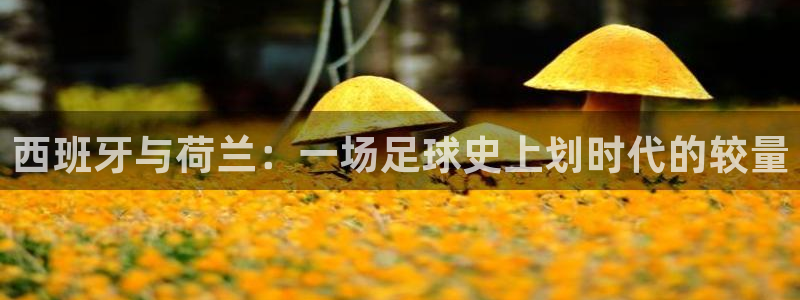 26世界杯:西班牙与荷兰:一场足球史上划时代的较量