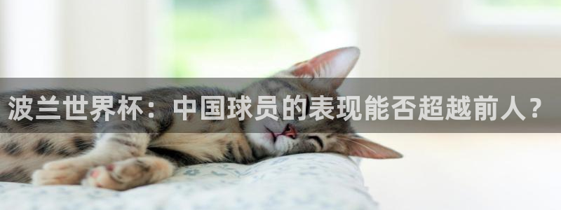 欧洲世预赛赛程表：波兰世界杯：中国球员的表现能否超越前人？