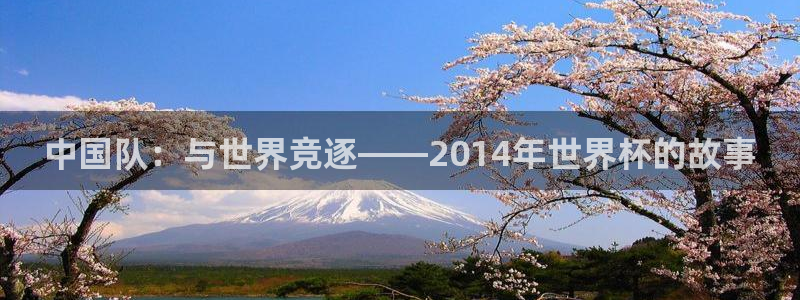 男足世界杯预选赛赛程：中国队：与世界竞逐——2014年世界杯的故事