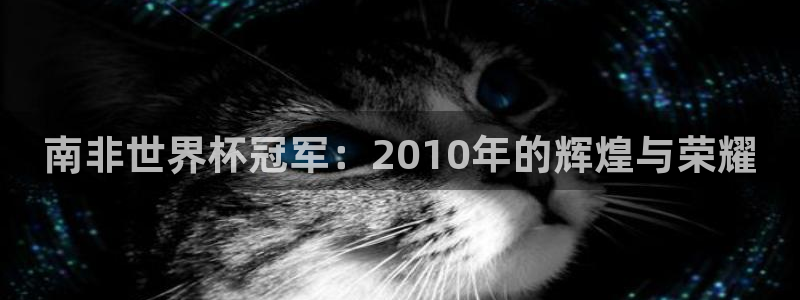 世界杯预选赛亚洲区赛程：南非世界杯冠军：2010年的辉煌与荣耀