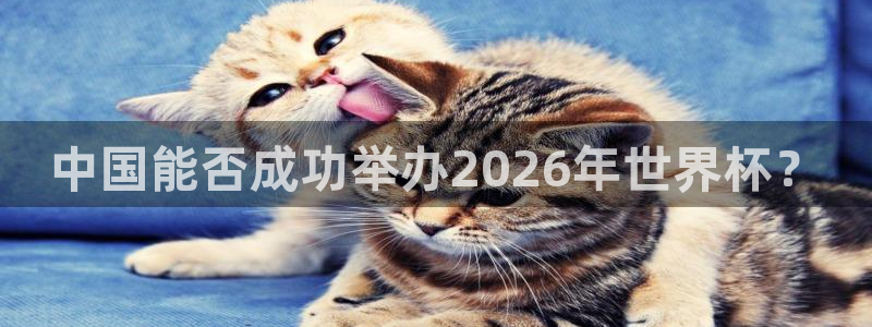 2026世界杯赛程:中国能否成功举办2026年世界杯?