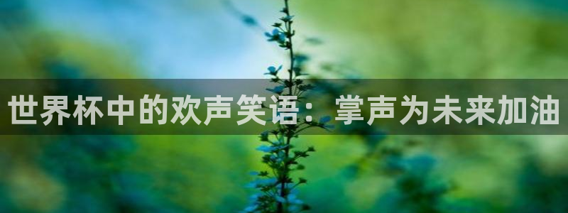 2026世界杯赛程表完整版：世界杯中的欢声笑语：掌声为未来加油