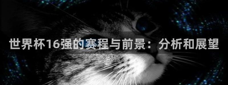 2026世界杯预选赛：世界杯16强的赛程与前景：分析和展望