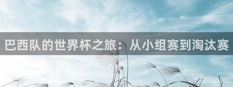 2026 世界杯：巴西队的世界杯之旅：从小组赛到淘汰赛