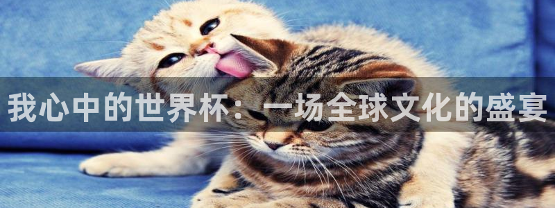 世界杯直播网：我心中的世界杯：一场全球文化的盛宴