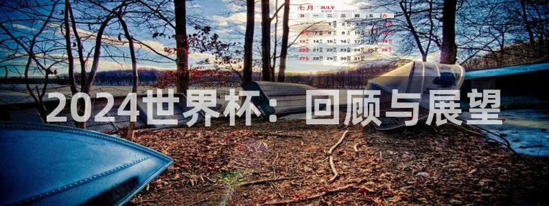 2026足球世界杯赛程：2024世界杯：回顾与展望
