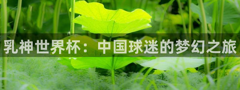 男足世界杯预选赛赛程：乳神世界杯：中国球迷的梦幻之旅